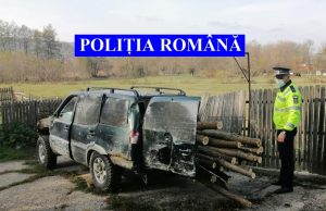 Cum se fură lemne „en detail”, că angro știu cel mai bine cei neprinși