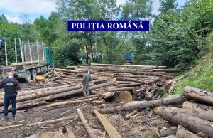 Cum a fost sancționată o societate comercială din domeniul silvic la care polițiștii au constatat diferențe între stocul de lemne scriptic și cel faptic Foto: Facebook Poliția Română