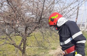 Femeie de 76 de ani, accidentată mortal de un motociclist în vârstă de 21 de ani