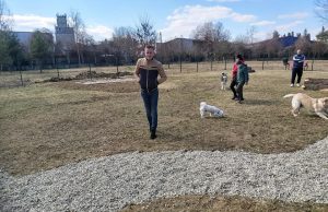 Pitești: Primul parc de agrement pentru câinii de companie