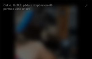 O adolescentă din Ștefănești a fost violată de propriul tată