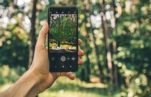 Activiştii de mediu acuză un sabotaj: Sumal 2.0 a devenit ineficient în faţa mafiei lemnului