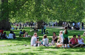 Zonă de picnic cu restricții, în Parcul Ștrand. Grătarele, alcoolul și mingile sunt interzise