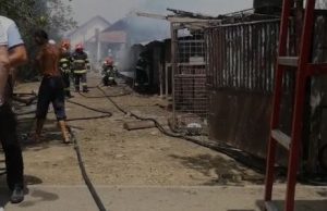 VIDEO: Incendiu la un adăpost de animale din Mărăcineni