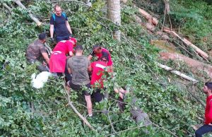 Moarte sângeroasă pentru un muncitor de 28 de ani: „I-a scăpat drujba şi i-a împrăştiat creierii”