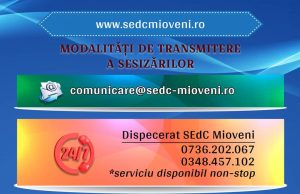 S.Ed.C. Mioveni: Formulare tipizate pentru fiecare tip de serviciu oferit
