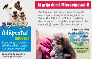S.E.d.C. Mioveni: Adăpostul de câini fără stăpân – Mioveni – „Ai grijă de el. MICROCIPEAZĂ-L”