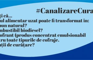 SEDC Mioveni: „Deșeurile casnice sunt cel mai greu de ținut sub control”