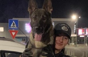 Mii de locuri sunt scoase la concurs de școlile postliceale ale MAI