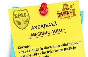 SEdC Mioveni angajează mecanic auto