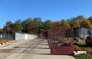 SEdC Mioveni: Padocuri noi pentru animalele din adăpostul Mioveni