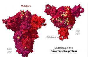 RO VACCINARE: Cum a apărut Omicron? Este mai agresivă, mai transmisibilă? Vaccinurile funcționează?