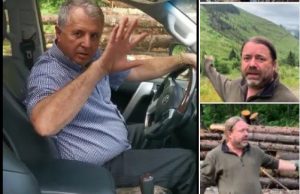 Mihai Goțiu, despre condamnările în dosarul Cheresteaua 1: „Sper că, la apel, sentințele vor fi și mai drastice. Pentru că măcelul făcut pe Valea Vâlsanului e uriaș”