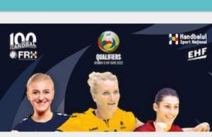 Bilete pentru meciul de handbal România – Danemarca, care se va juca la Sala Sporturilor Mioveni FOTO: bilete.ro