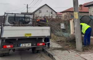 Bradu: Colectarea crengilor din toaletările efectuate de populație continuă și în aprilie. „Facem un apel să le scoată în zilele stabilite pentru fiecare stradă”