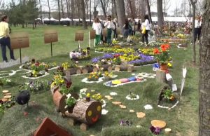 A început Simfonia Lalelelor. Dinozauri animați, spectacole și multe alte surprize îi așteaptă pe vizitatori la ediția cu numărul 45