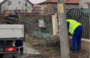 Bradu: Operațiunea de colectare a crengilor din toaletările efectuate de populație ajunge la final