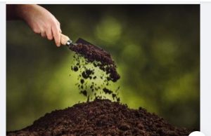 BRADU: Mai aveți timp să vă dotați, gratuit, gospodăriile cu recipiente pentru compost și pubele pentru colectarea sticlei Foto (descriptiv): Ministerul Mediului