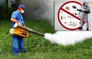 ATENȚIONARE: Se face dezinsecție, dezinfecție și deratizare la Mioveni