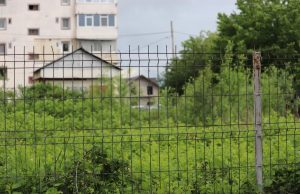 Mioveni: Proprietarii terenurilor sunt obligaţi să le îngrijească şi să le cureţe