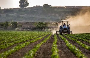 În atenția fermierilor din orașul Mioveni! A fost reorganizată comisia pentru constatarea pagubelor și evaluarea pierderilor