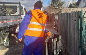 Bradu: Cum puteți transforma, gratuit, gunoiul biodegradabil în îngrășăminte naturale și soluția pentru a scăpa de deșeurile de sticlă