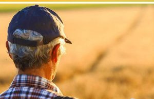 POIANA LACULUI: Protejați-vă de caniculă! Evitați activitățile intense și deplasările la orele de vârf!