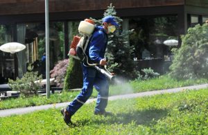 MIOVENI: Luni începe dezinsecția și dezinfecția. „Vă rugăm să supravegheați copiii și animalele de companie pentru a nu intra în raza de acțiune a aparatelor!” dezinfecttie mioveni FOTO: Primăria Orașului Mioveni