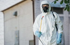 Campanie de dezinsecţie, dezinfecție și deratizare în Mioveni