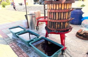 MIOVENI: Producătorii agricoli și comercianții atestați în domeniul agroalimentar vă așteaptă la „Sărbătoarea Recoltei”. Meșterii populari au și ei ce să vă ofere