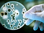 În pandemie, românii au fost tratați „cam arogant”, ca organisme, nu ca oameni cu nevoi