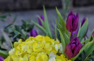 8 Martie. Mesajul primarului comunei Poiana Lacului, Ion Dumitrache, pentru doamne și domnișoare: sănătate, zile frumoase și bucurii! Mulțumim pentru tot ceea ce sunteți!