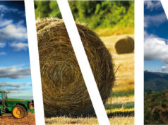 În atenția fermierilor din Mioveni: Calendar fonduri europene pentru agricultură 2023 Fonduri agricultură Sursă foto Facebook Primăria Orașului Mioveni