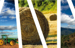 În atenția fermierilor din Mioveni: Calendar fonduri europene pentru agricultură 2023 Fonduri agricultură Sursă foto Facebook Primăria Orașului Mioveni