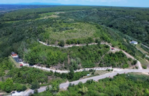 VIDEO / TOPOLOVENI: Cum a fost transformat total, cu fonduri Regio, un teren degradat şi neproductiv. „Dintr-un loc care nu spunea nimic a ieșit o minunăție!”