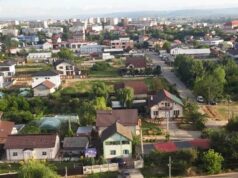 Ce activități de utilitate publică execută SC HCB Construct Investment SRL Bradu Cum puteți scăpa gratuit de resturile vegetale rezultate din cositul ierbii sau tunsul gazonului