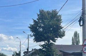 Limitator de viteză amplasat pe strada Smârdan din Pitești