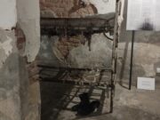 „După ce a fost eliberat din Închisoarea Pitești, primul lucru pe care l-a spus când a ajuns acasă a fost: ‘Dați drumul câinelui din lanțuri’. La scurt timp a murit”