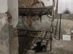 „După ce a fost eliberat din Închisoarea Pitești, primul lucru pe care l-a spus când a ajuns acasă a fost: ‘Dați drumul câinelui din lanțuri’. La scurt timp a murit”