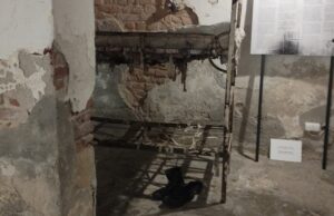 „După ce a fost eliberat din Închisoarea Pitești, primul lucru pe care l-a spus când a ajuns acasă a fost: ‘Dați drumul câinelui din lanțuri’. La scurt timp a murit”