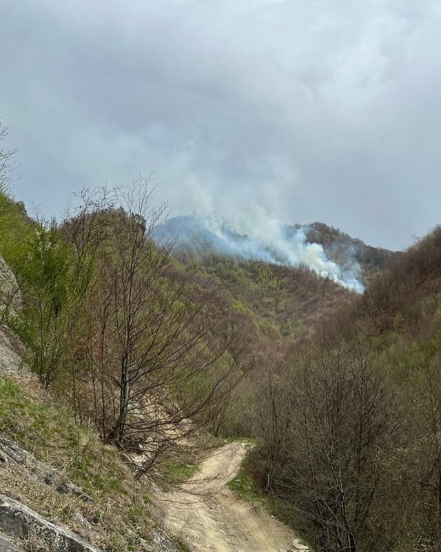incendiu Ag3