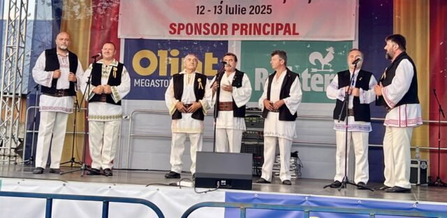 casa de culyura Topoloveni