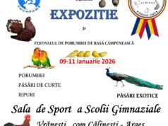 VIDEO Peste 700 de exemplare de păsări și animale de rasă, aduse de crescători consacrați la o inedită expoziție organizată la Călinești, în perioada 9-11 ianuarie